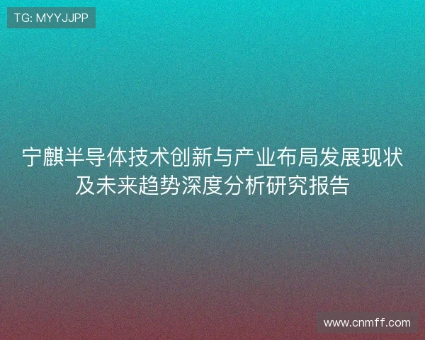 宁麒半导体技术创新与产业布局发展现状及未来趋势深度分析研究报告